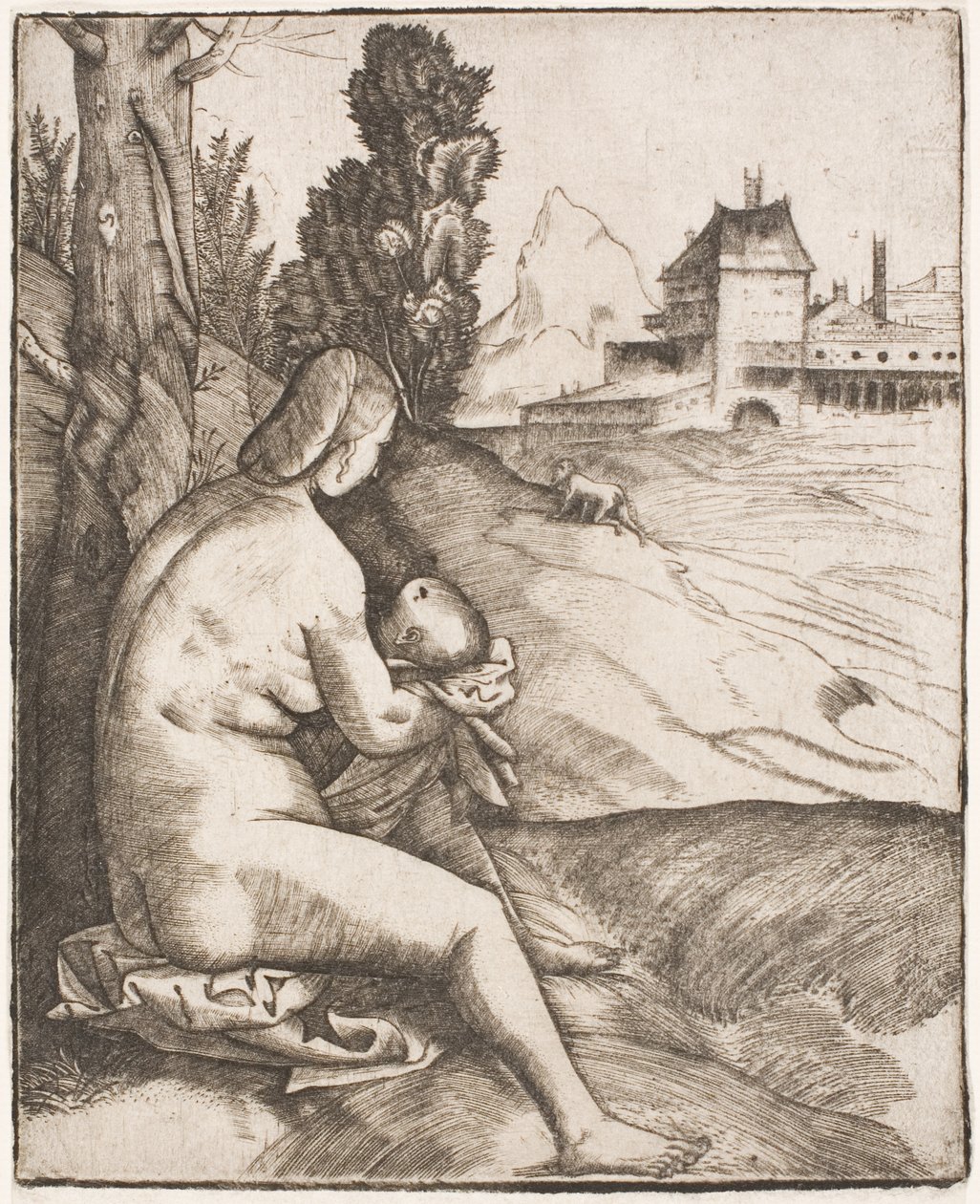  द्वारा Giulio Campagnola