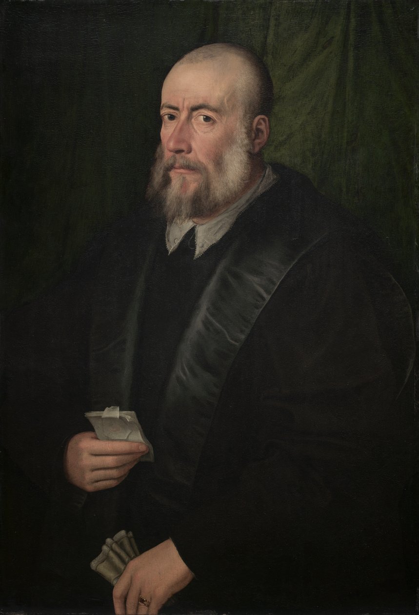  द्वारा Giulio Campi