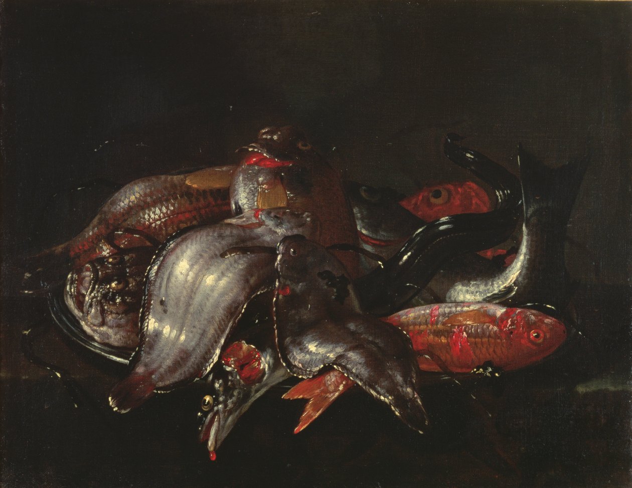 स्टिल लाइफ ऑफ फिश, c.1670-80 द्वारा गिउसेप्पे रेको