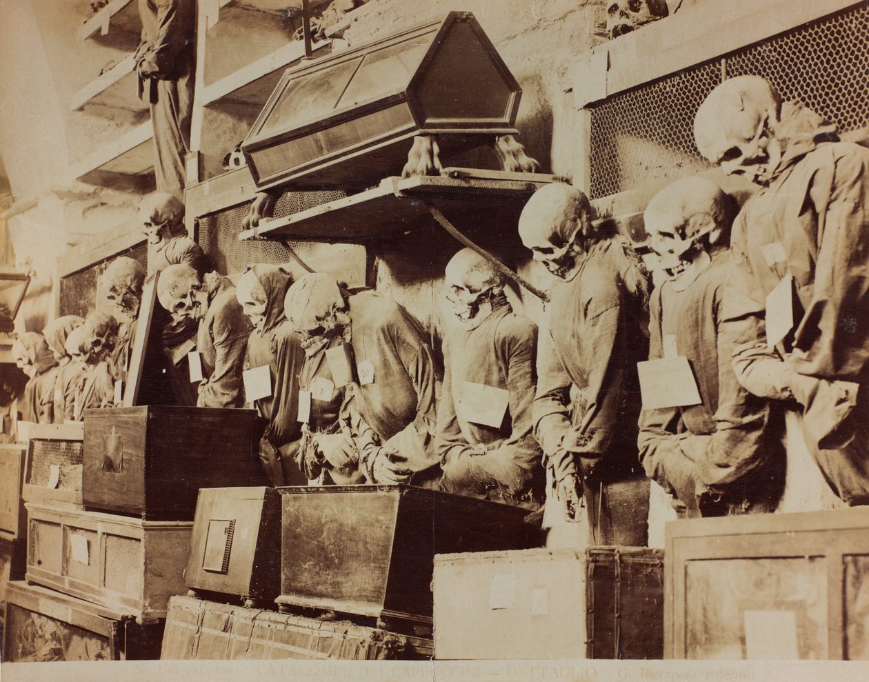 पलेर्मो में Capuchin friars के Catacombs का विवरण द्वारा Giuseppe निगमित