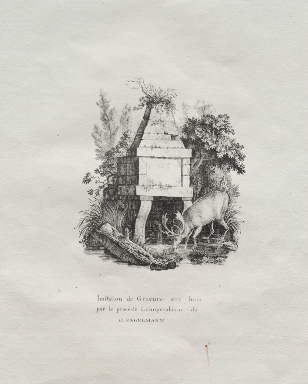 रसील लिथोग्राफिक प्रिंट्स: लकड़ी के उत्कीर्णन का एक फव्वारा, सी। 1816। द्वारा गॉटफ्रीड या गोडेफ्रो एंगेलमैन