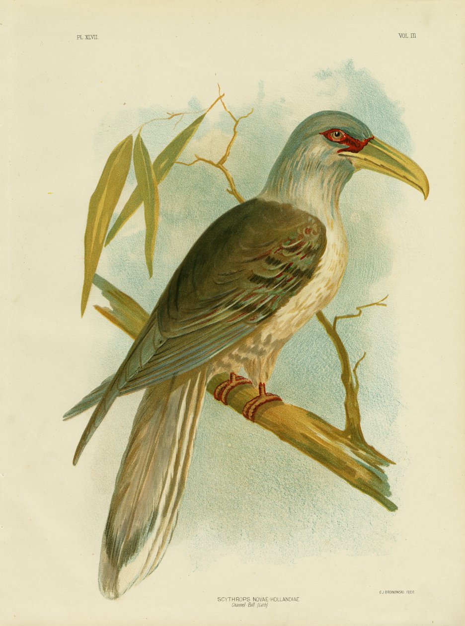 चैनल बिल, 1891 द्वारा ग्रेसियस ब्रोइनोवस्की