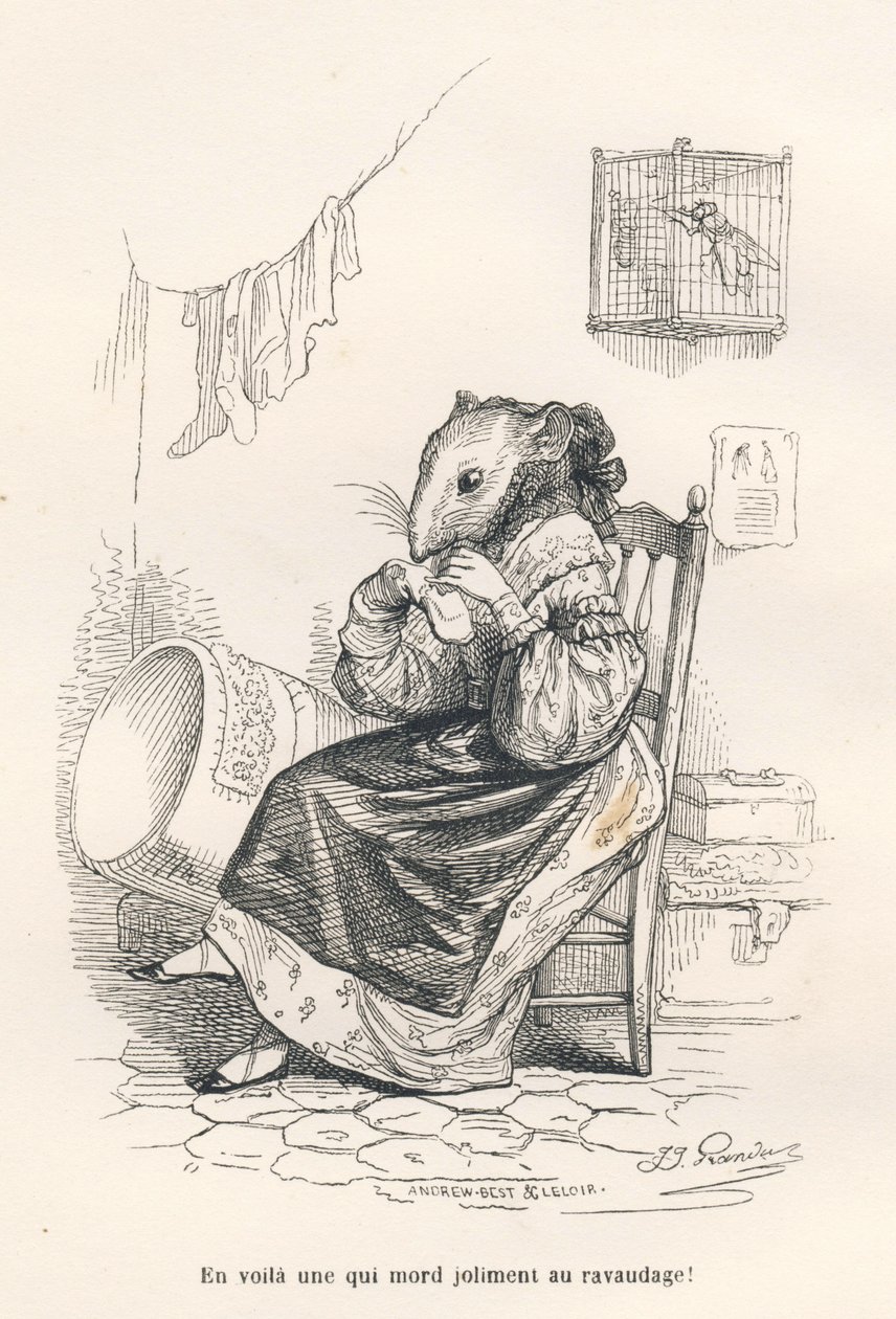माउस एक जुर्राब की मरम्मत। जे जे ग्रानविले द्वारा सचित्र विगनेट्स। उत्कीर्णन ने "जानवरों के निजी और सार्वजनिक जीवन के दृश्य" में एडौर्ड लेमोइन द्वारा लिखित "द फिलॉस्फर चूहा" नामक भाग में एंड्रयू, बेस्ट और लेलोइर पर हस्ताक्षर किए। पेरिस, द्वारा ग्रैंडविल