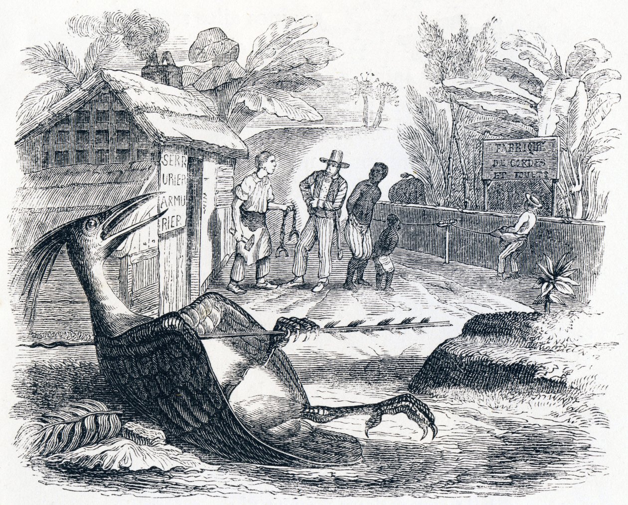 पक्षी एक तीर से दर्द करता है - ला फोंटेन द्वारा दंतकथाएं द्वारा ग्रैंडविल