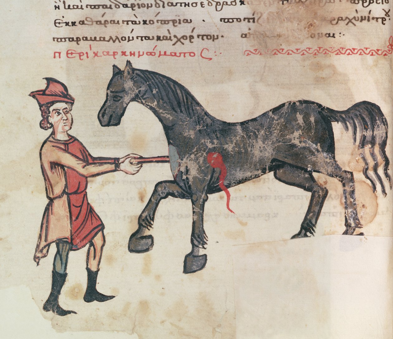 Ms Grec 2244 fol.37v घोड़े पर संचालन द्वारा ग्रीक स्कूल