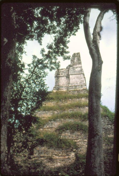 शिलालेख का मंदिर, सी। 700AD द्वारा ग्वाटेमाला स्कूल