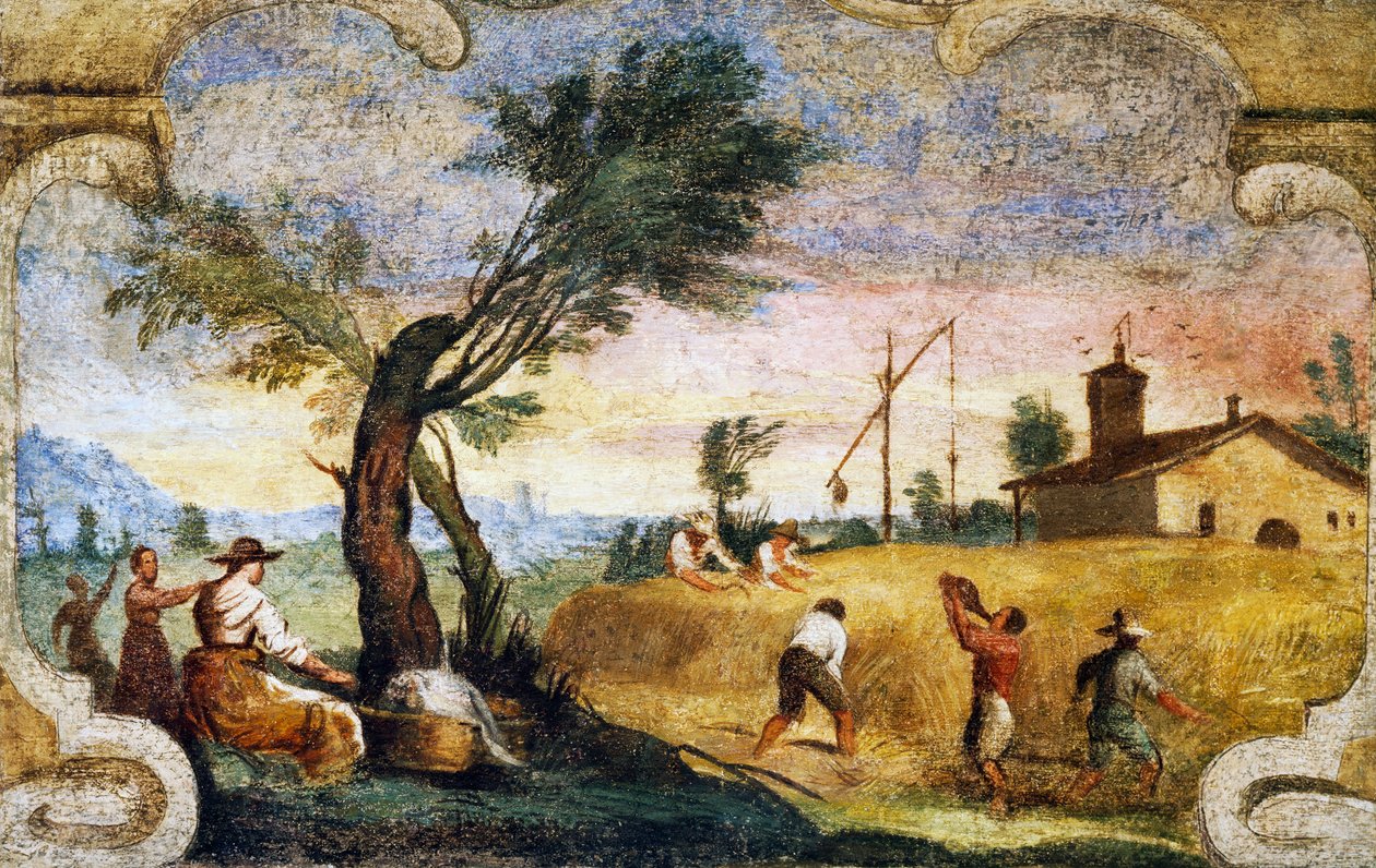जियोवानी फ्रांसेस्को बारबेरी द्वारा कटाई, फ्रेस्को, जिसे इल ग्वेर्सिनो (1591-1666) के नाम से जाना जाता है। द्वारा ग्वेर्सिनो