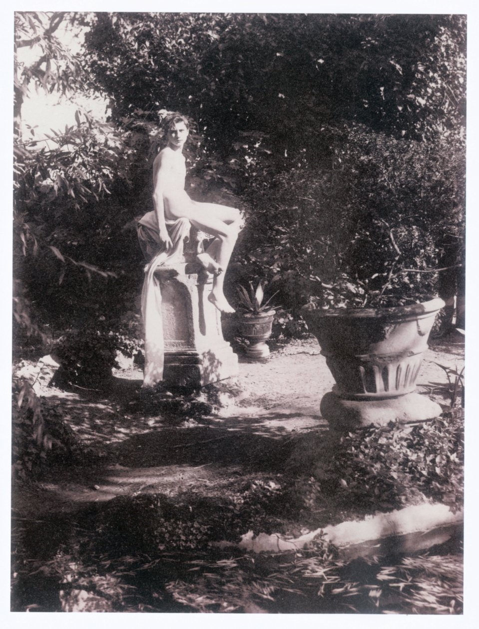  द्वारा गुग्लिल्मो (1852-1930) प्लुशॉ
