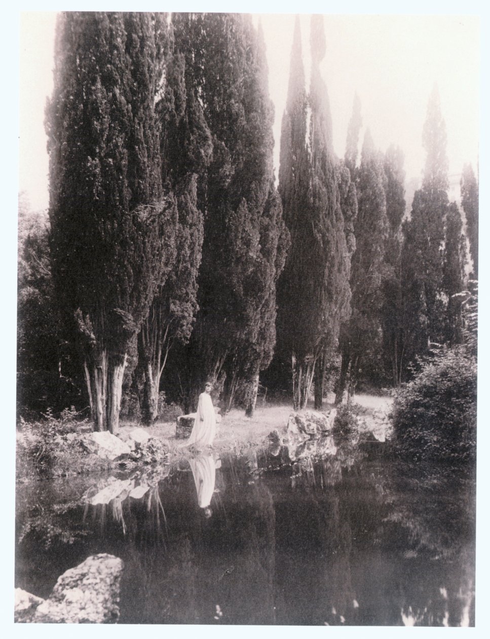  द्वारा गुग्लिल्मो (1852-1930) प्लुशॉ