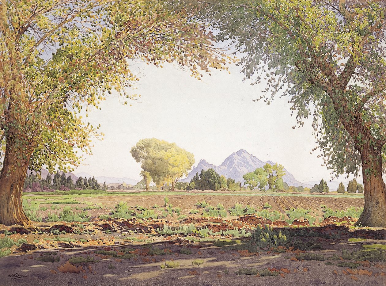 साल्ट रिवर वैली (w - c & gouache on paper) द्वारा गुन्नार विडफ़ोर्स