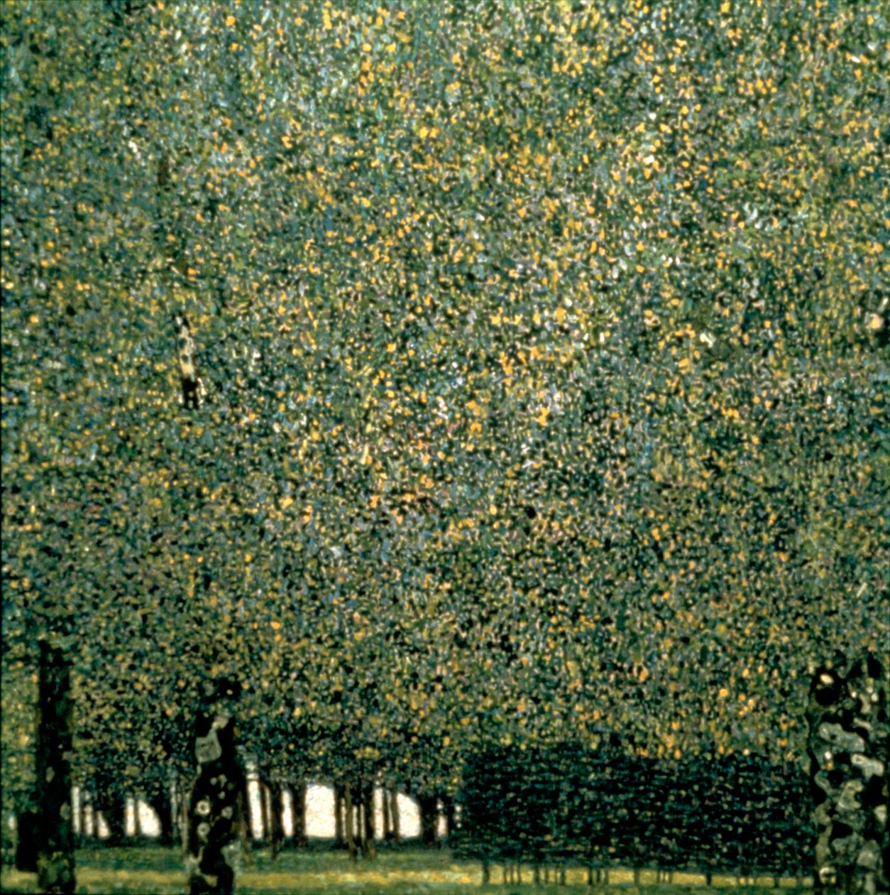 पार्क, 1910 द्वारा गुस्ताव क्लिम्ट