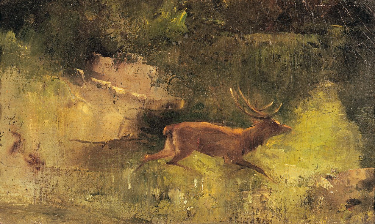 स्टैग एक लकड़ी के माध्यम से चल रहा है, c.1865 द्वारा गस्टवे कौरबेट