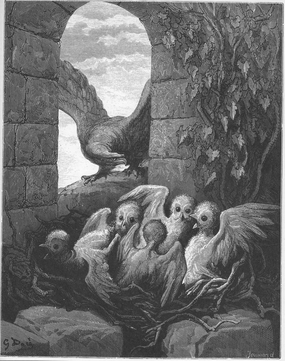 एल'एगल एट ले हिबौ - द ईगल एंड द उल्लू - जीन डे ला फोंटेन (लाफोंटेन) (1621-95) द्वारा 'फेबल्स' से - गुस्ताव डोर (1832-83) के बाद उत्कीर्ण - निजी संग्रह द्वारा गुस्ताव (बाद में) डोर