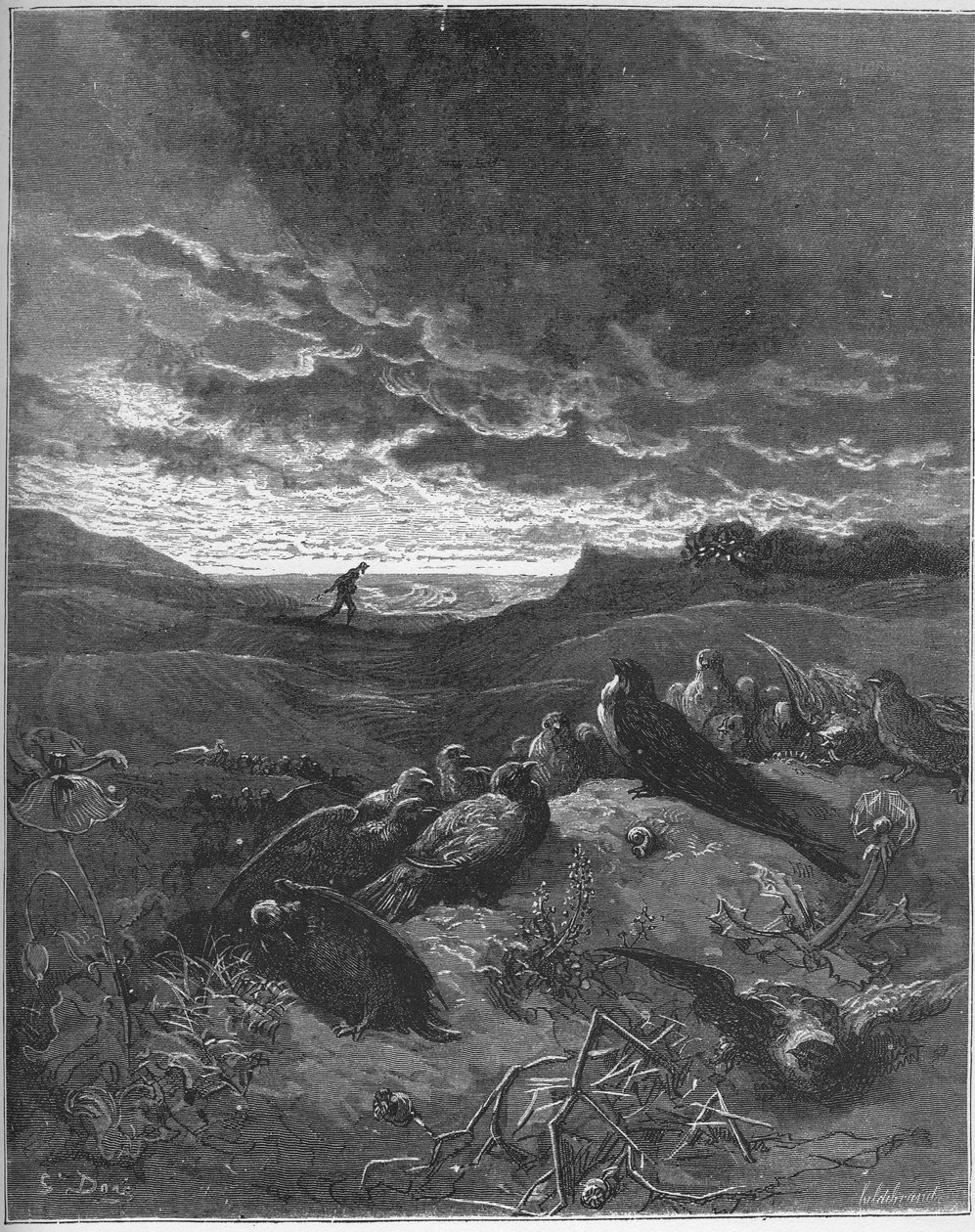 L'Hirondelle et les petits Oiseaux - The Swallow And The Little Birds - 'Fables' by Jean de La Fontaine (Lafontaine) (1621-95) - Gustave Dore (1832-83) के बाद उत्कीर्णन - निजी संग्रह द्वारा गुस्ताव (बाद में) डोर