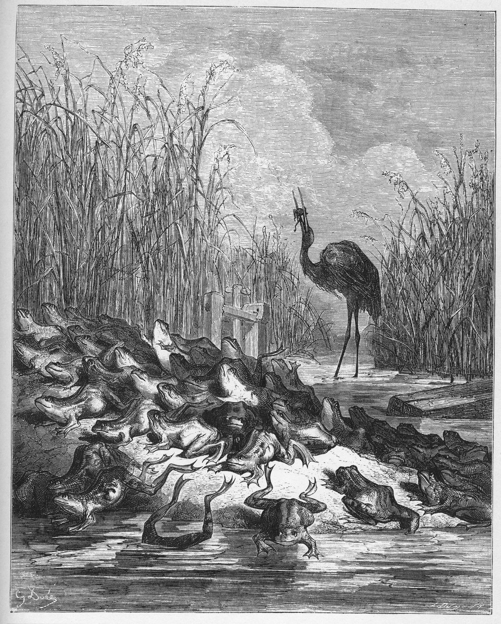 द फ्रॉग्स हू डिजार्ड ए किंग - जीन डे ला फोंटेन (लाफोंटेन) (1621-95) द्वारा 'फेबल्स' से - गुस्ताव डोर (1832-83) के बाद उत्कीर्णन - निजी संग्रह द्वारा गुस्ताव (बाद में) डोर