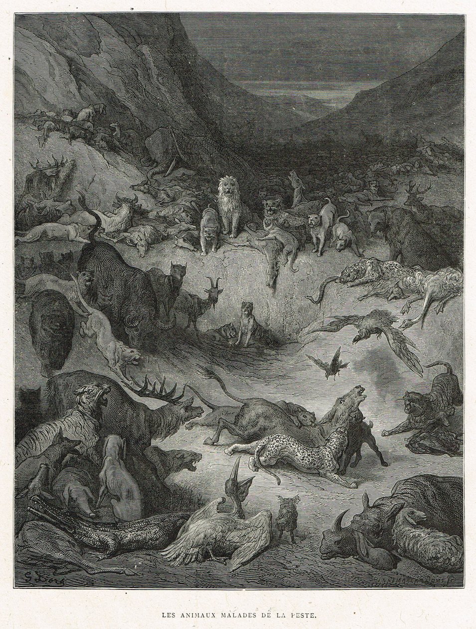  द्वारा गुस्ताव डोर