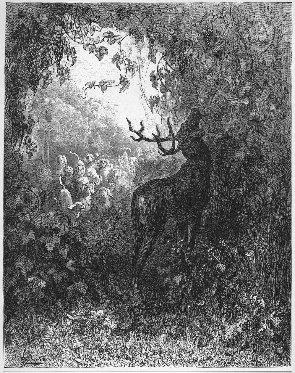 LE CERF ET LA VIGNE - हिरण और बेल - जीन डे ला फॉनटेन द्वारा "दंतकथाओं" से द्वारा गुस्ताव डोर