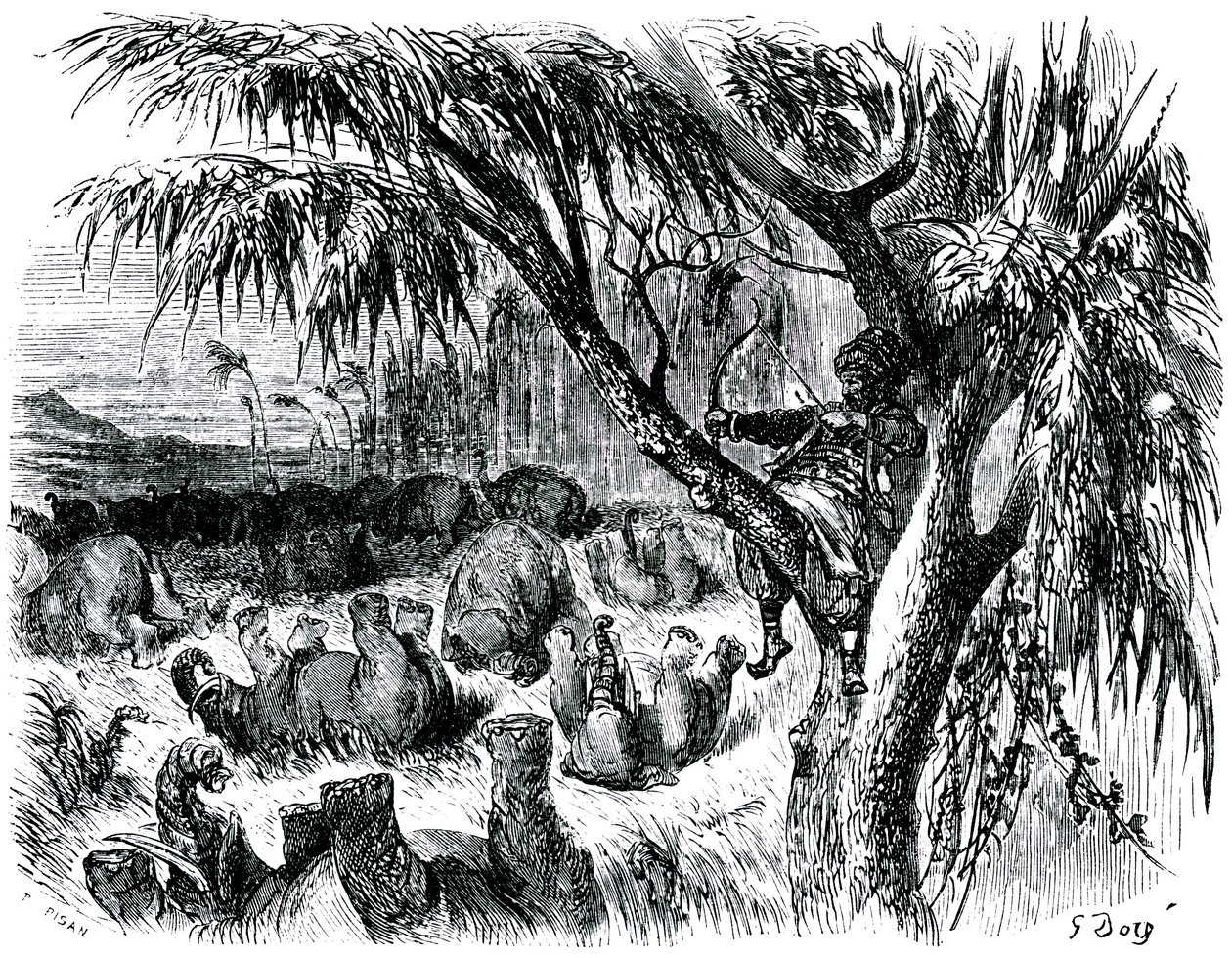  द्वारा गुस्ताव डोर