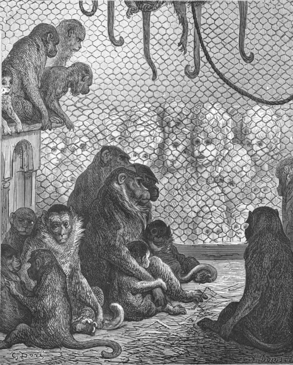 जूलॉजिकल गार्डन - द मंकी हाउस, 1872। द्वारा गुस्ताव डोर