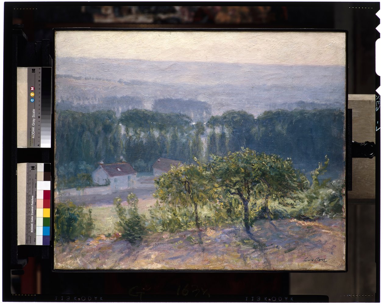 देर से दोपहर, Giverny, c.1905-13 (कैनवास पर तेल) द्वारा गाइ रोज