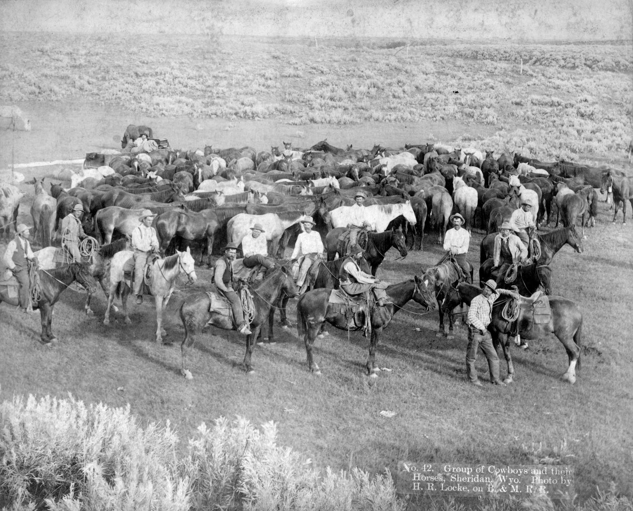 काउबॉय और उनके घोड़ों का समूह, शेरिडन, व्योमिंग, c.1890 द्वारा एचआर लोके