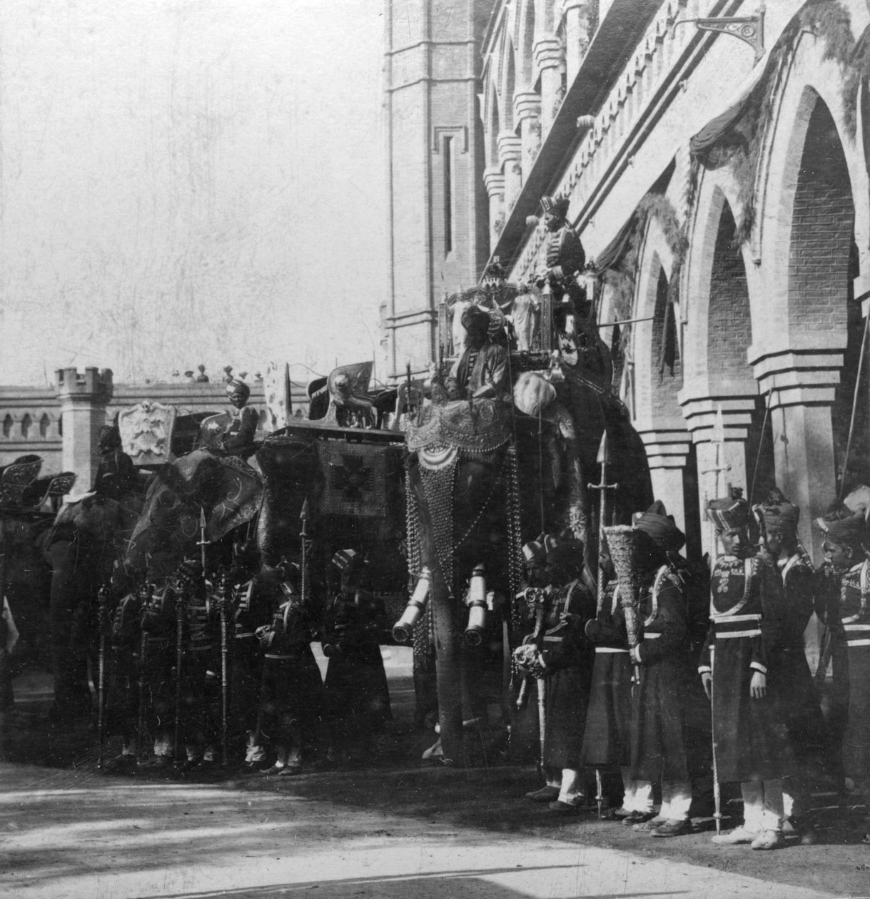 वाइसराय हाथी, दिल्ली, भारत, 1900s। द्वारा एच। हाथ और बेटा