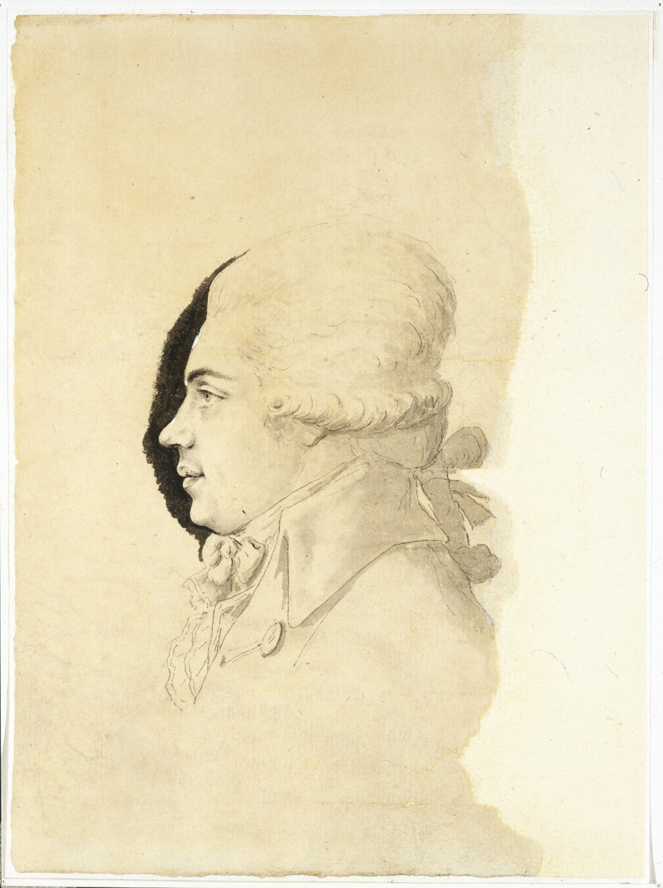 काउंट निकोले पेट्रोविच रुम्यंतसेव का पोर्ट्रेट 1754-1826, 1780 के अंत में द्वारा कुदाल