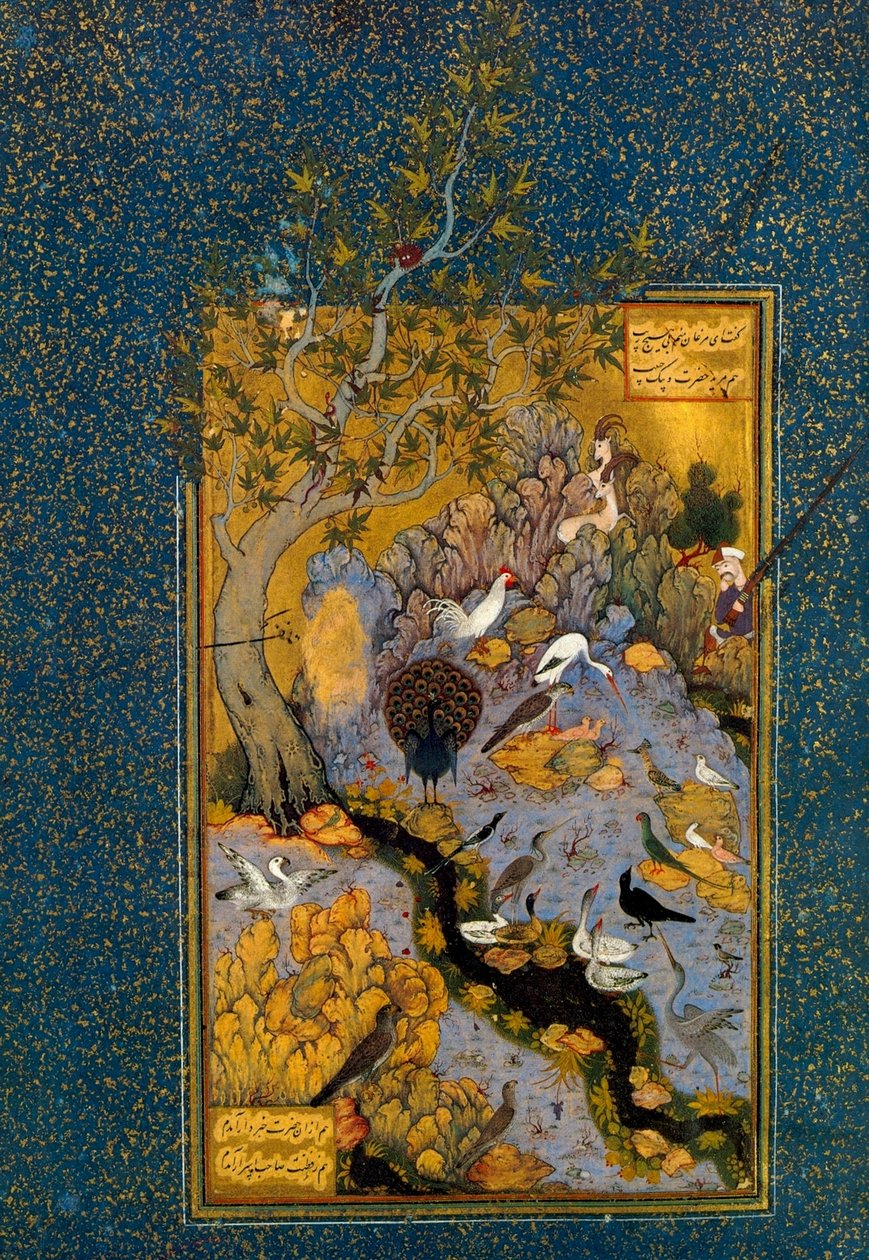 मंतिक अल-तायर द लैंग्वेज ऑफ द बर्ड्स से फोलियो, अत्तर द्वारा, c1600। द्वारा हबीब अल्लाह