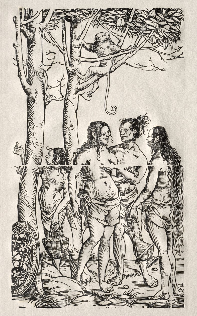  द्वारा हंस बर्गकमेयर