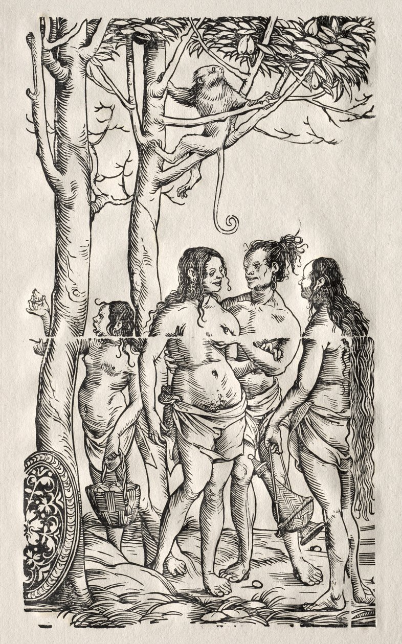 झुंड के साथ हॉटटॉट्स। द्वारा हंस बर्गकमेयर