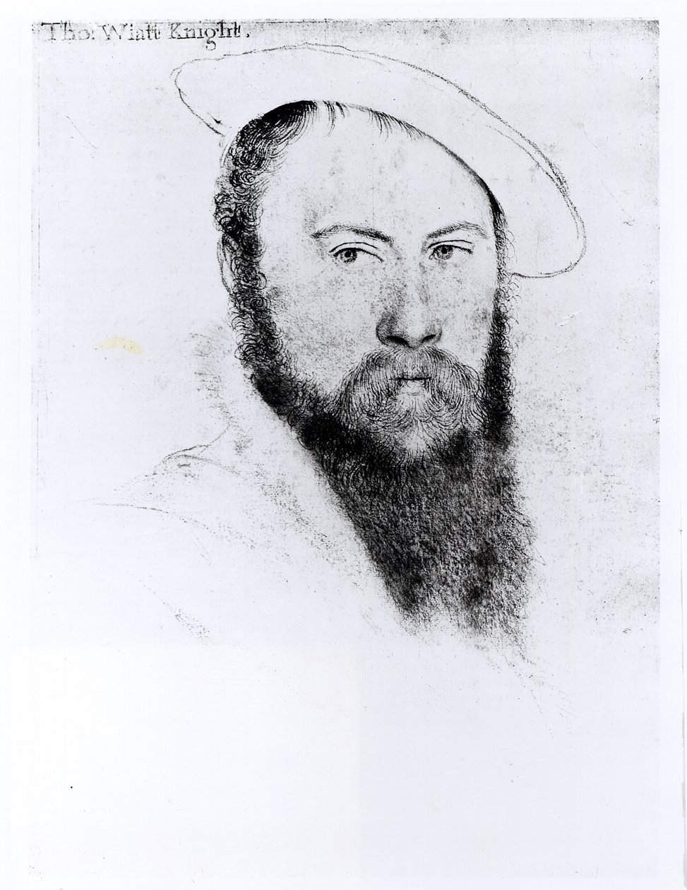 सर थॉमस वायट द यंगर (c.1521-54) का चित्र (पेंसिल और कागज पर लकड़ी का कोयला) द्वारा हंस होल्बिन द यंगर