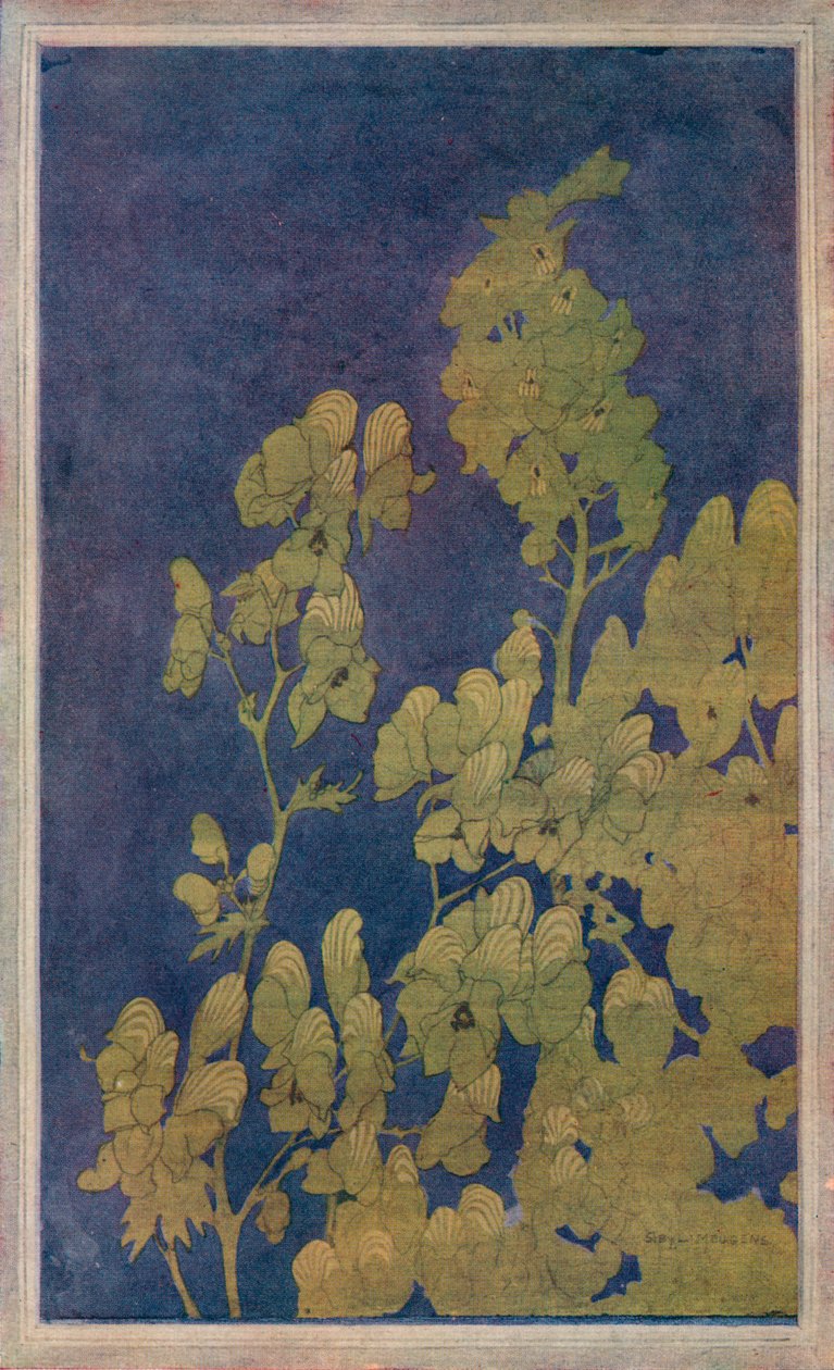 भिक्षुओं-हूड, c1922 द्वारा हैरियट सिबिल मेगन