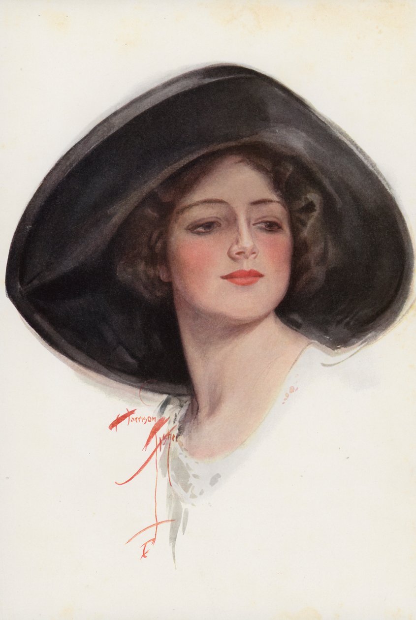  द्वारा हैरिसन फिशर