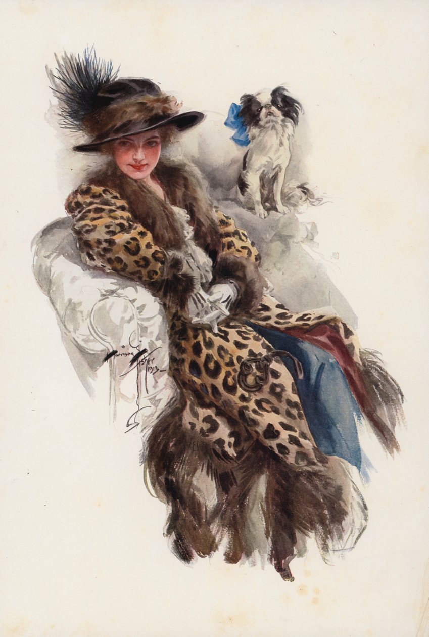  द्वारा हैरिसन फिशर