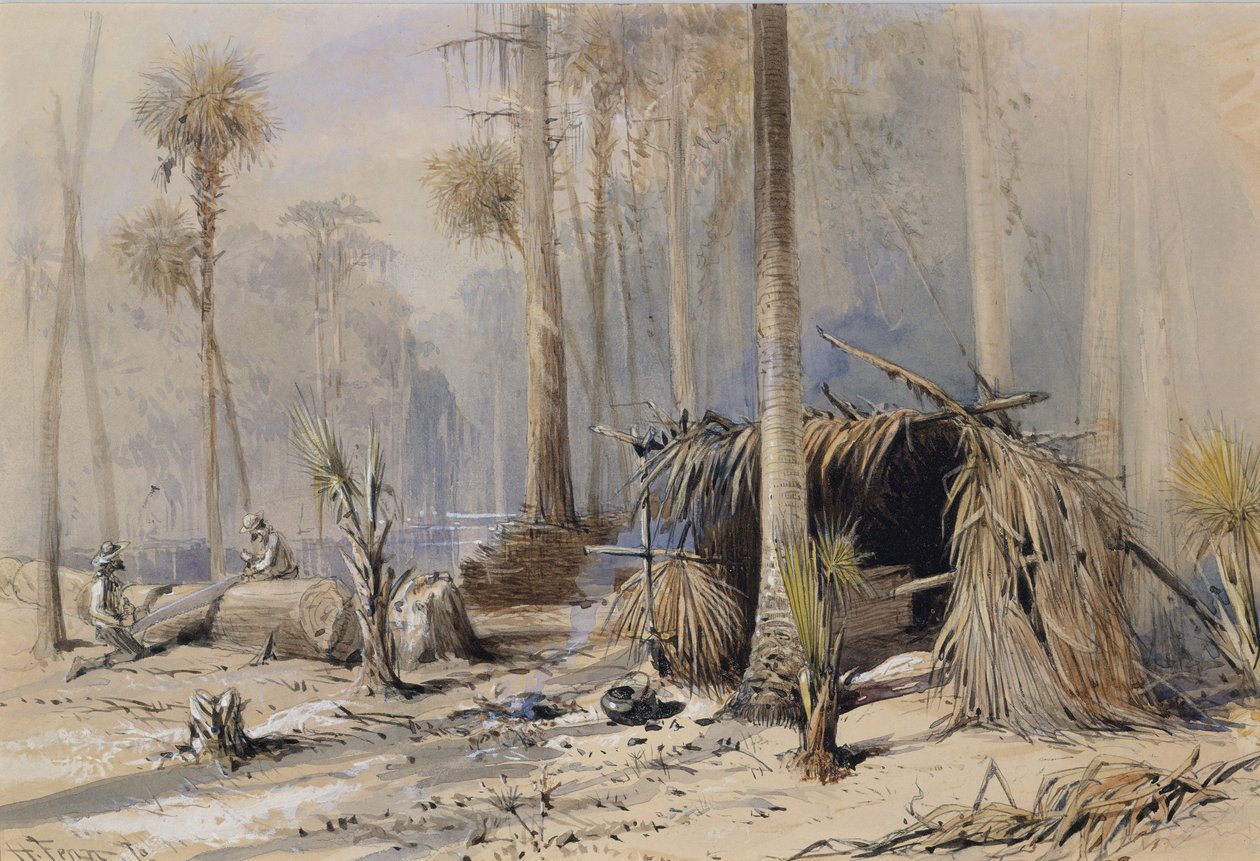 सरू-शिंगल यार्ड, ओक्लावाहा नदी, फ्लोरिडा, 1870। द्वारा हैरी फेन