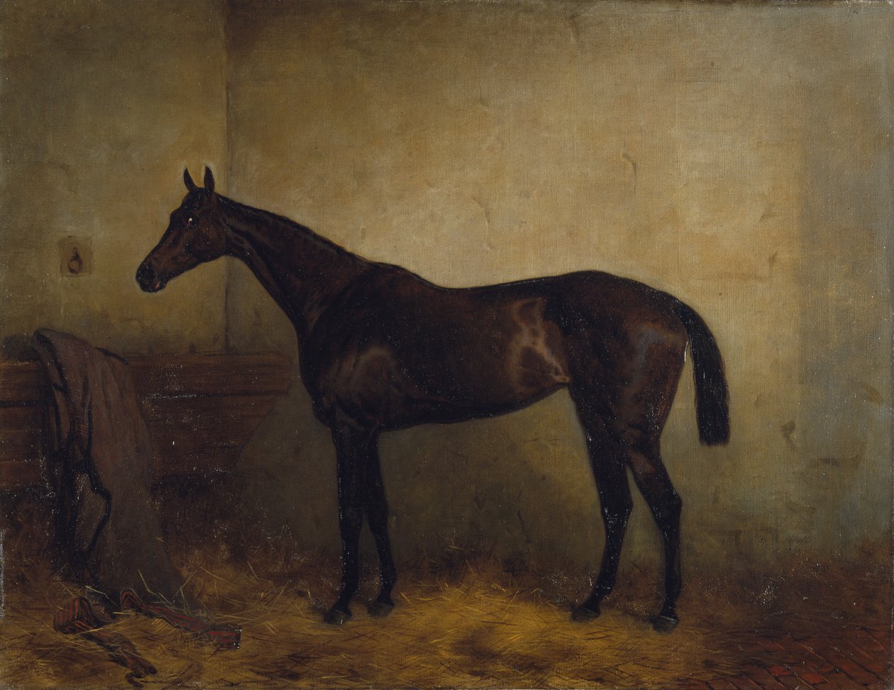 चैपल, एक बे रेस घोड़ी एक लूज़बॉक्स में, c.1877 (कैनवास पर तेल) द्वारा हैरी हॉल