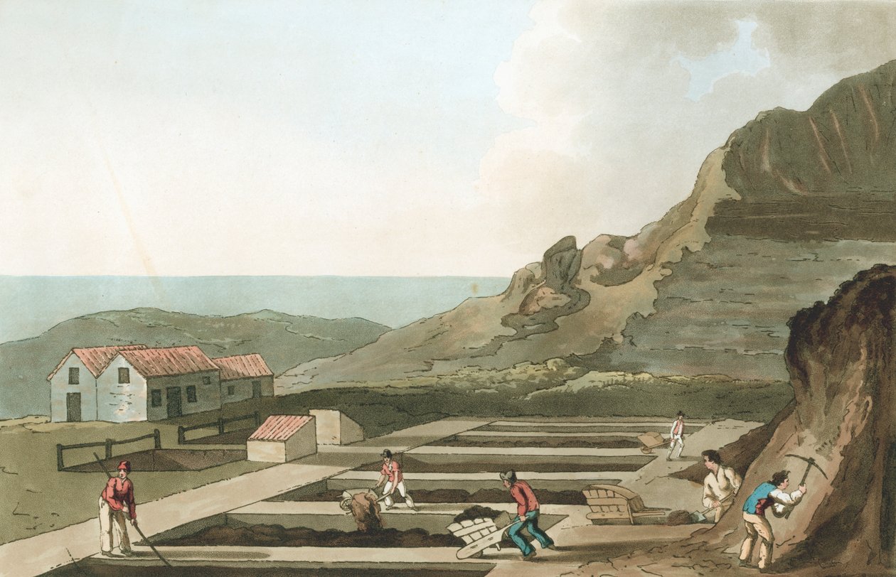 1814 के व्हाईटबी क्षेत्र, यॉर्कशायर में एक अलम का सामान्य दृश्य काम करता है द्वारा हवेल और पुत्र