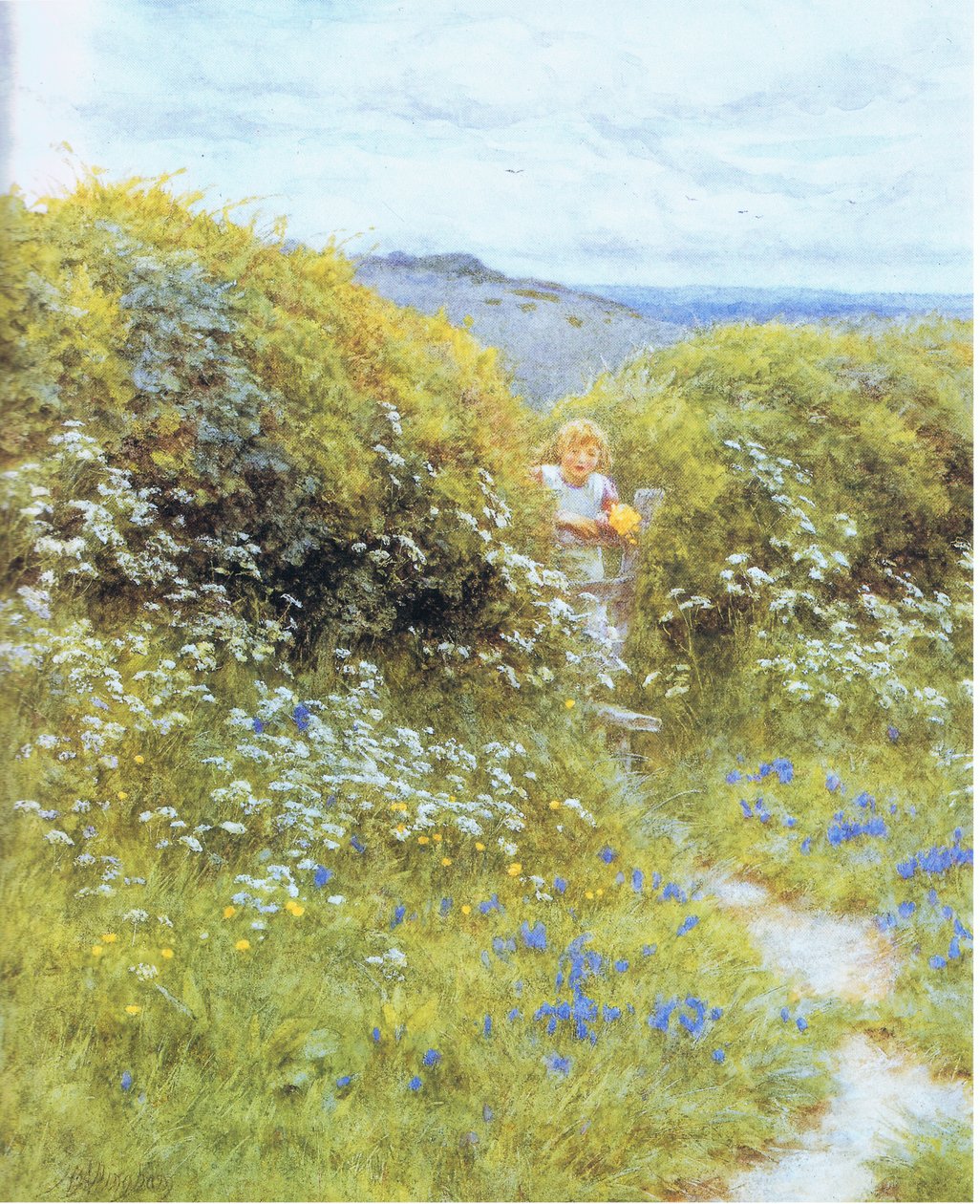 गाय अजमोद और Bluebells द्वारा हेलेन एलिंघम