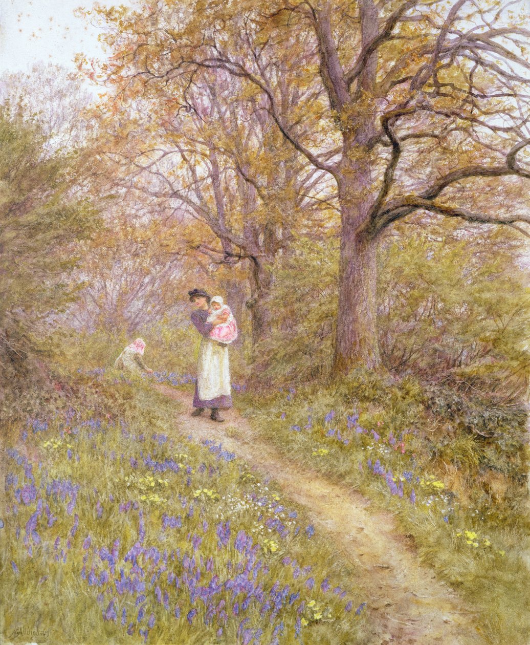 Bluebells द्वारा हेलेन एलिंघम