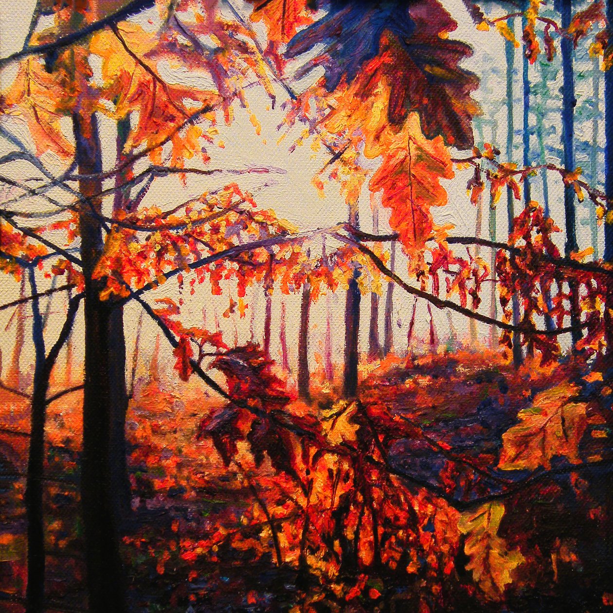  द्वारा हेलेन व्हाइट