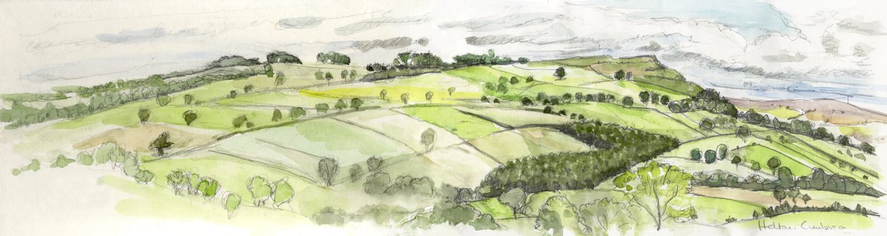  द्वारा हेलेन व्हाइट