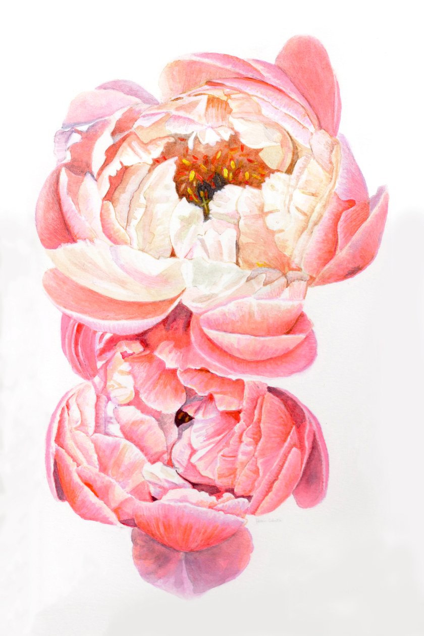  द्वारा हेलेन व्हाइट