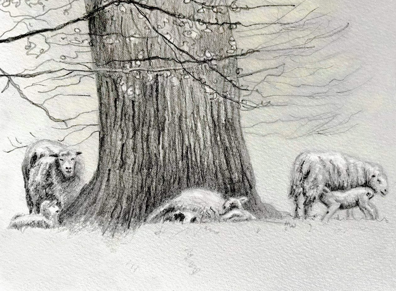  द्वारा हेलेन व्हाइट