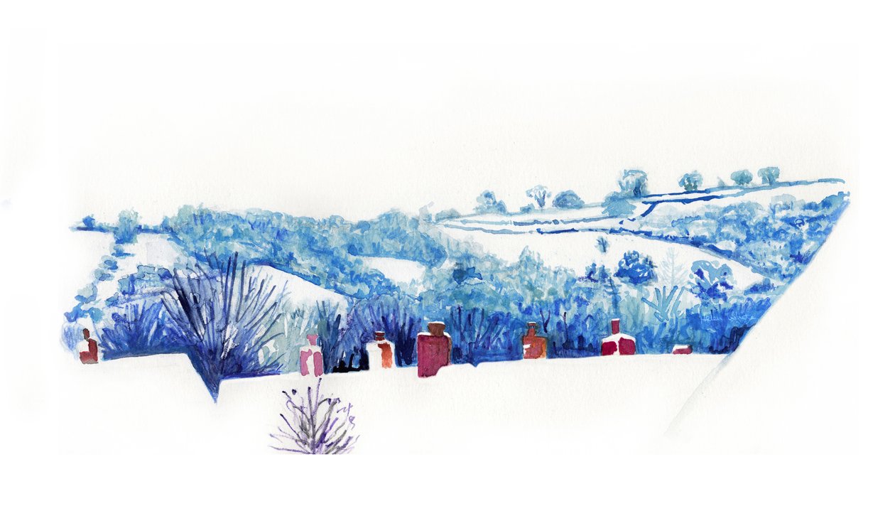  द्वारा हेलेन व्हाइट