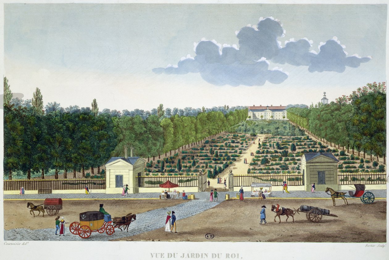 क्लाउड फोर्टियर (1775-1835) (रंग उत्कीर्णन) द्वारा उत्कीर्ण ऑस्टरलिट्ज़ के पुल से पेरिस में जार्डिन डू रोई का दृश्य द्वारा हेनरी (बाद में) कौरवोज़ियर वोइसिन