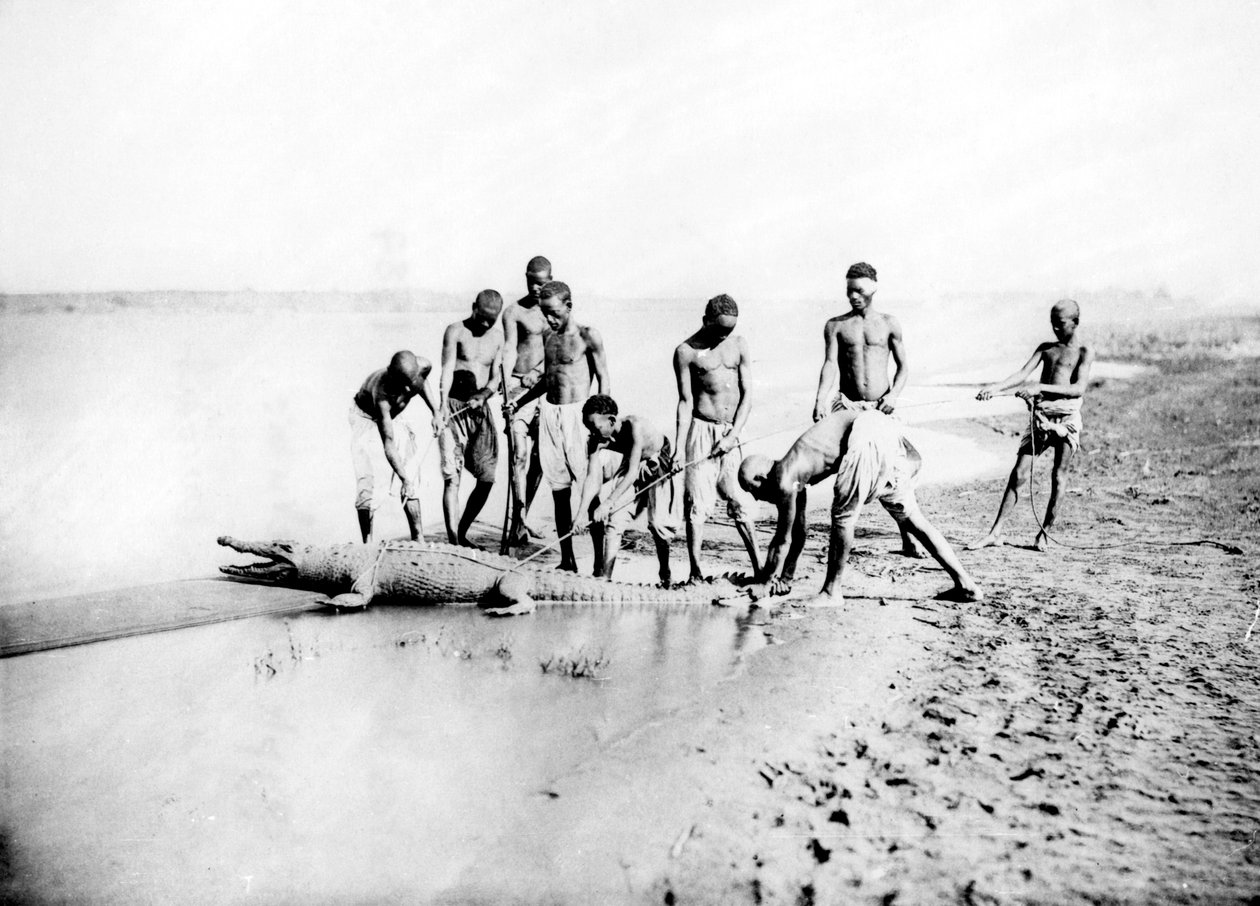 एक मगरमच्छ का शिकार, नूबिया, मिस्र, 1887 द्वारा जॉर्जेस हेनरी बेचर्ड