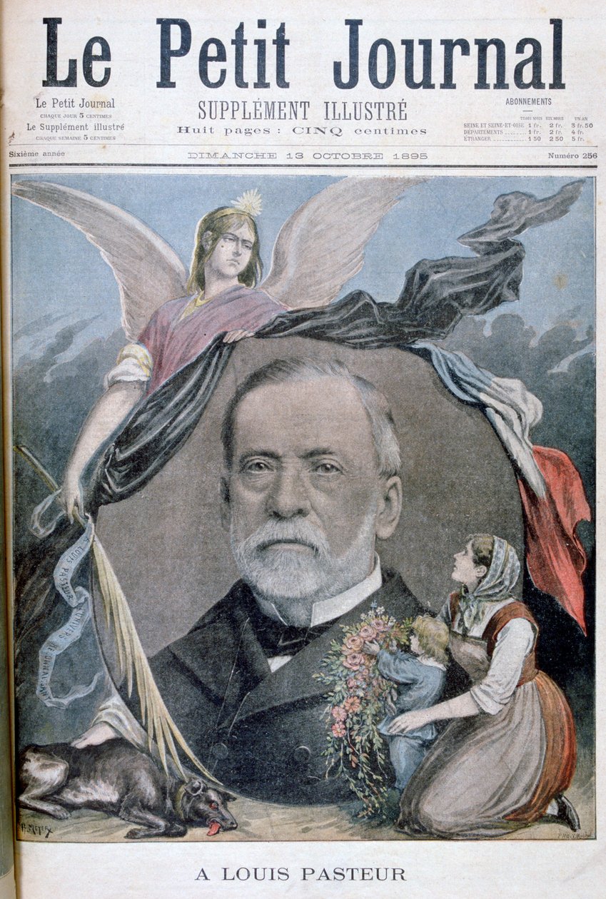 लुई पाश्चर, फ्रांसीसी रसायनज्ञ, 1895 द्वारा हेनरी मेयर