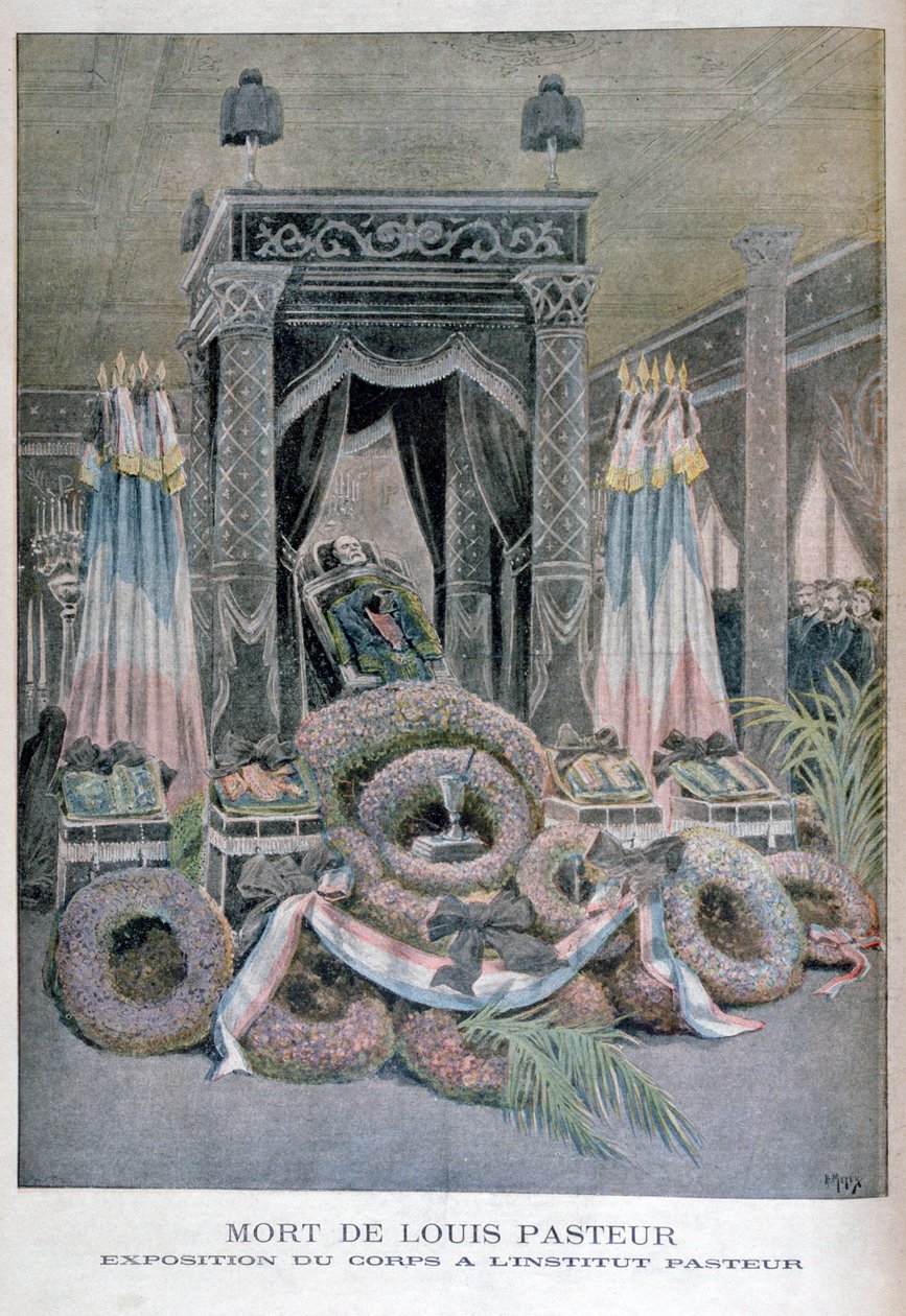 लुई पाश्चर, फ्रांसीसी रसायनज्ञ, 1895 की मृत्यु द्वारा हेनरी मेयर