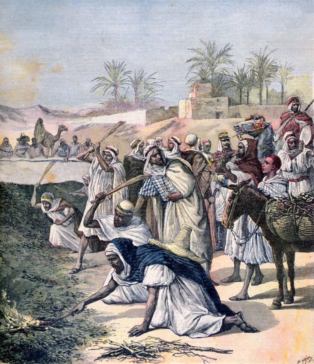 टिड्डी प्लेग, अल्जीरिया, 1891 द्वारा हेनरी मेयर