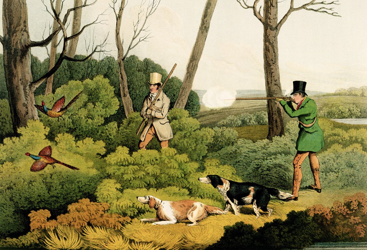 &39;तीतर शूटिंग&39;, पब। थॉमस मैकलीन द्वारा, 1820 (प्रिंट) द्वारा हेनरी थॉमस अल्केन